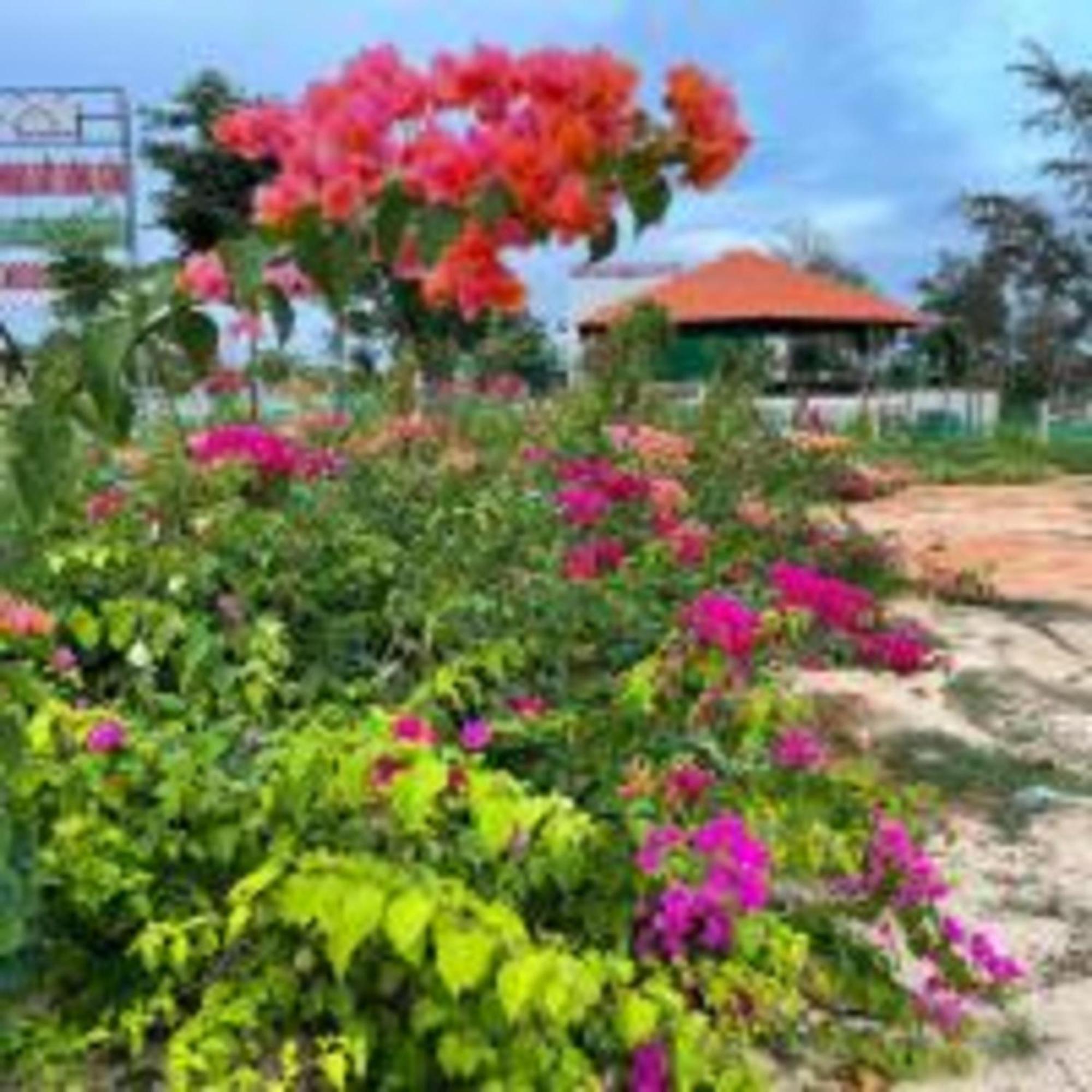 Duc Luu Quang Hotel Binh Thuan Tuy Phong Eksteriør billede