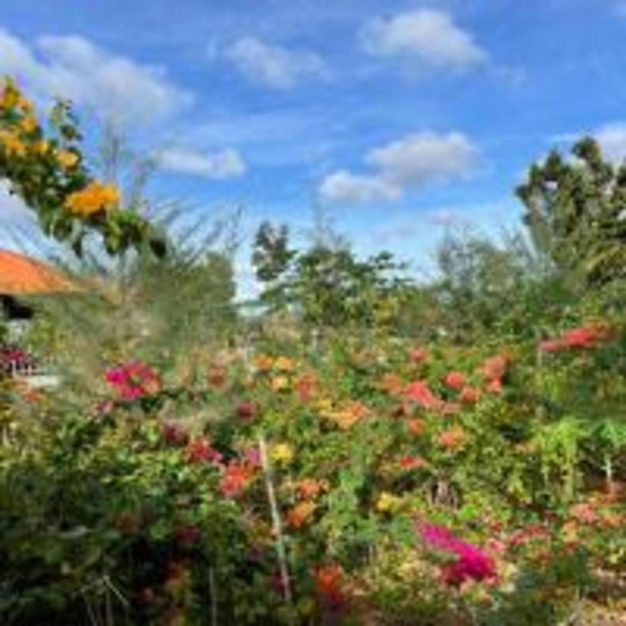 Duc Luu Quang Hotel Binh Thuan Tuy Phong Eksteriør billede